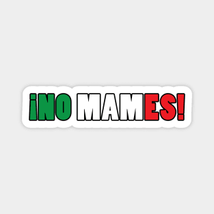 No Mames Mexican design Magnet