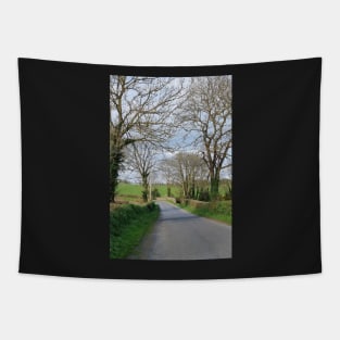 Irish country road 2 Tapestry