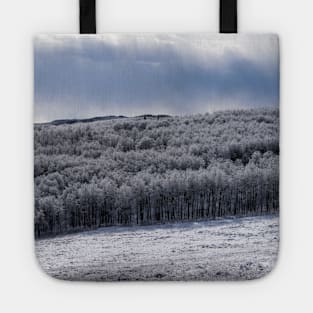 Foothills after Fresh Snow. Tote