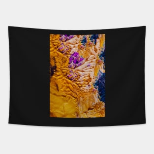 Gold and Purple Tapestry