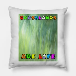 Grasslands Are Life - Jerrabomberra Grasses Canberra Pillow