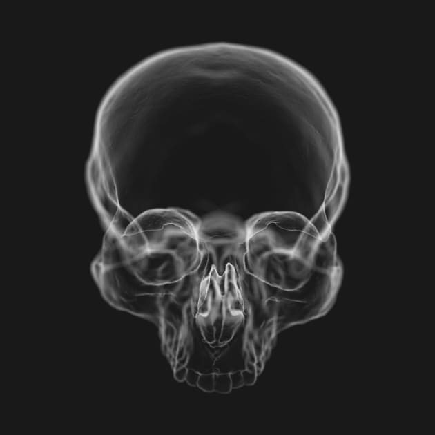 Skull X Ray by KalebLechowsk