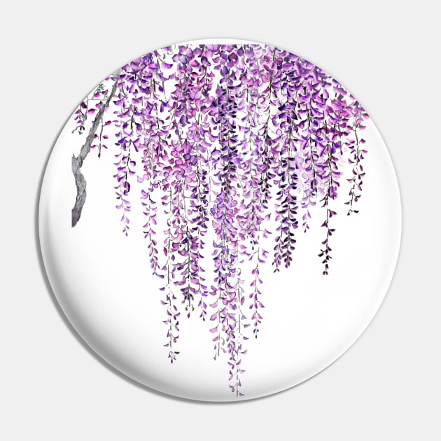 blooming wisteria flowers Pin by colorandcolor