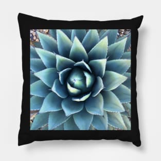 Plant print, Cactus print, Succulent, Scandinavian print, Trendy print, Styled, Pillow, Modern art, Wall art, Print, Minimalistic, Modern Pillow