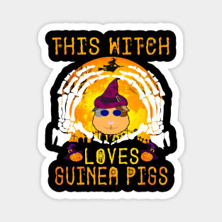 This Witch Loves Guinea Pigs Halloween (98) Magnet