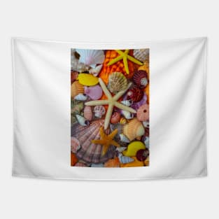 Pile Of Tropical Seashells And Starfish Tapestry