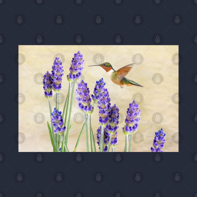 Ruby Throated Hummingbird and Lavender Flowers by lauradyoung