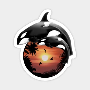 Orca Killer Whales Magnet