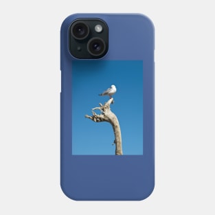 seagull on driftwood Phone Case