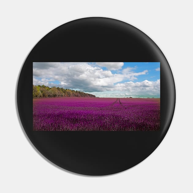 Lavender field in The Cotswolds Pin by Graz-Photos