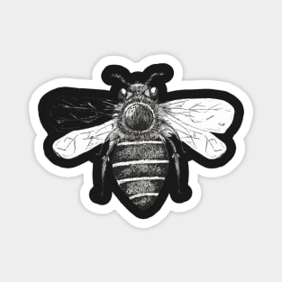 Pen and Ink Bee Design Black and White Magnet