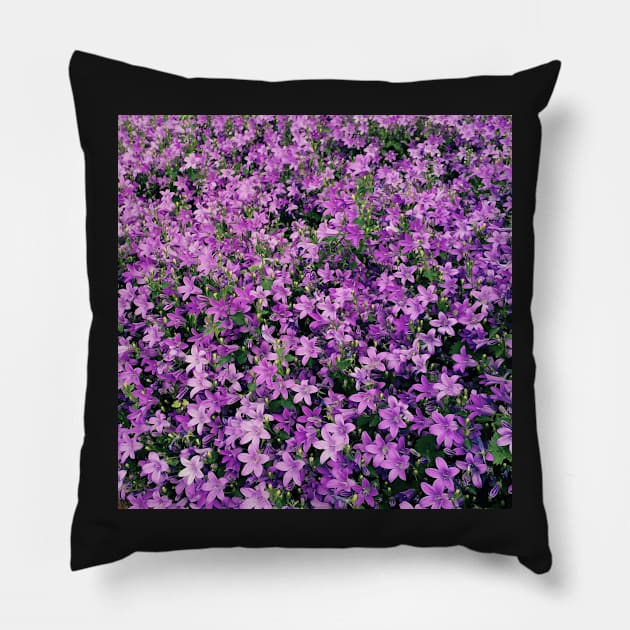 Purple Pillow by Dpe1974