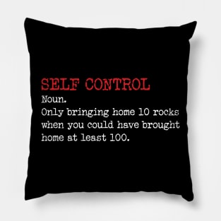 Self Control ? Geologist Definition Pillow