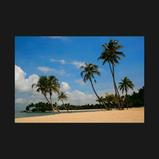 A Palm Covered Beach T-Shirt