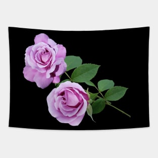 pink roses Tapestry