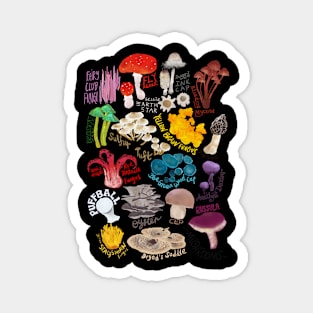 Mushrooms, Mushrooms, Mushrooms Magnet