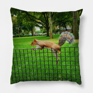 Red Squirrel Pillow