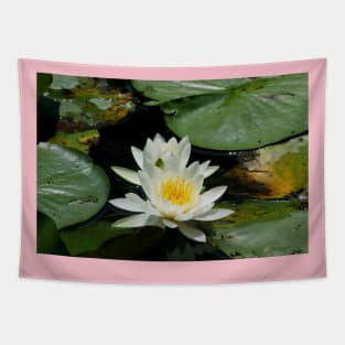 Water Lily Tapestry