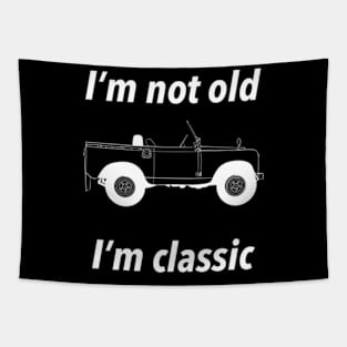 I’m Not Old I’m Classic Tapestry