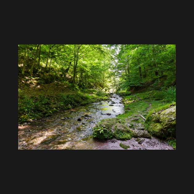 Mountain river flowing through valley by naturalis