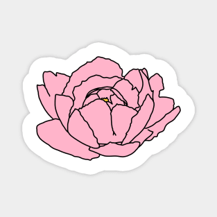 Peonia flower Magnet