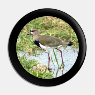 bird in the water in Venezuela Pin