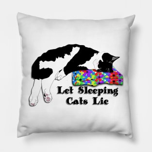 Let sleeping Cats Lie Cute tuxedo cat copyright by TeAnne Pillow