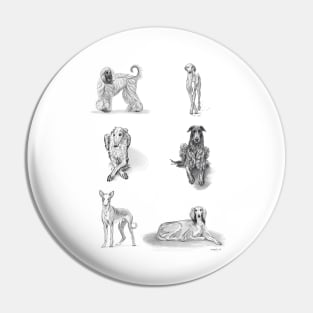 Sighthounds Pin