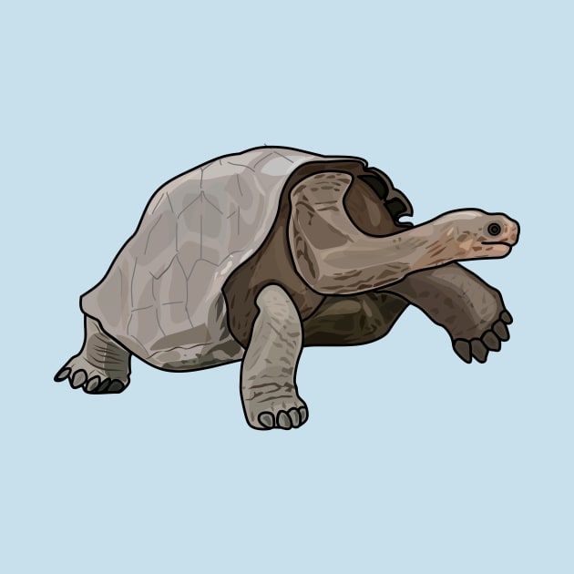 Galapagos tortoise cartoon illustration by Miss Cartoon