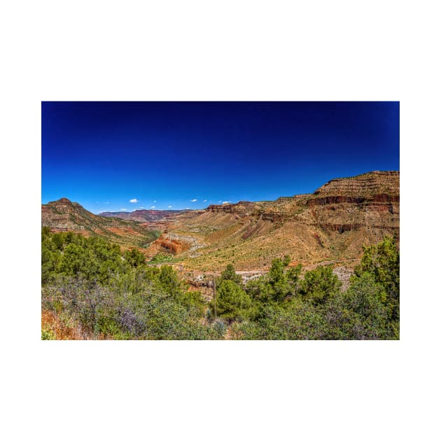 Salt River Canyon Wilderness by Gestalt Imagery