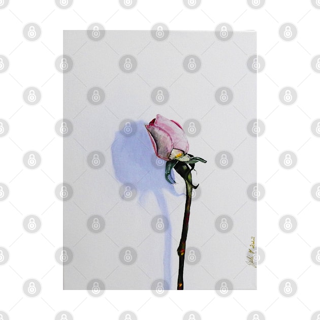 The Rosebud - Sweet Pink Rose - Still Life by Krusty