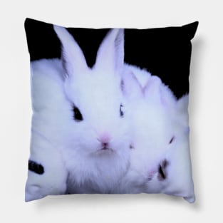 The rabbit Ladies / Swiss Artwork Photography Pillow