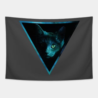 Cosmic Triangle Cat Tapestry