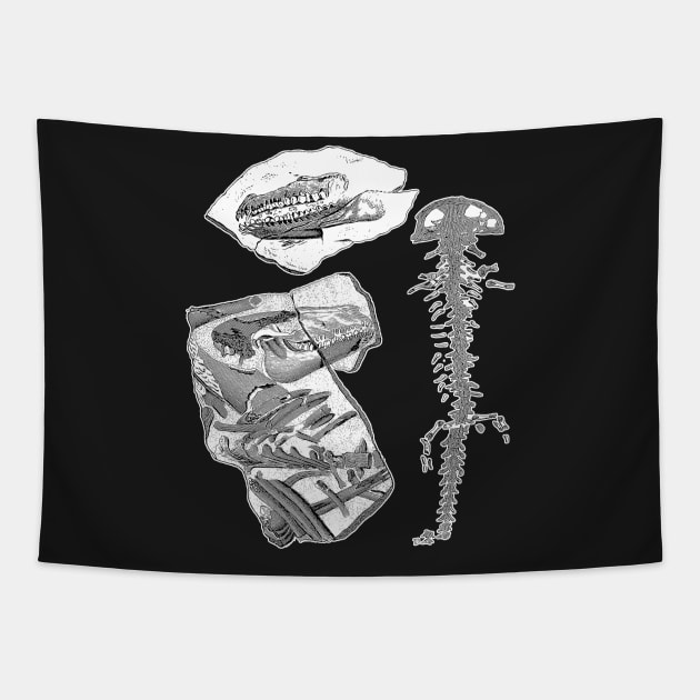 Dinosaur Fossils | Paleontology Archeology Dino Bones Tapestry by encycloart