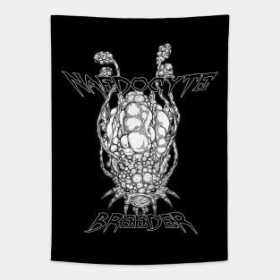 Deep Rock Galactic: Naedocyte Breeder Tapestry