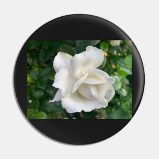 Gardenia flower Pin