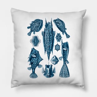 Ernst Haeckel Ostraciontes Fish Prussian Blue Pillow