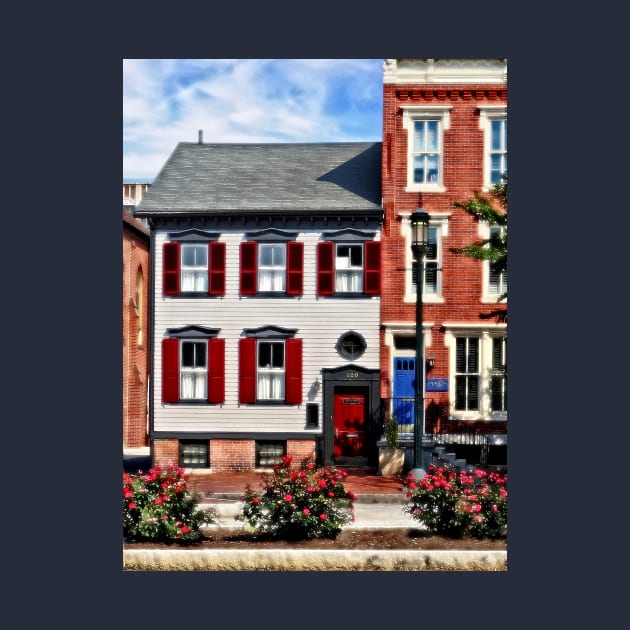 Harrisburg PA - Roses on State Street by SusanSavad