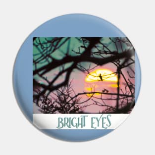 BRIGHT EYES Pin