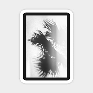 Palm Leaves on White Wall Magnet