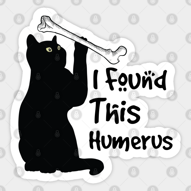 i found this humerus cat