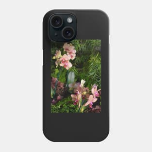 Orchids at The Phipps Conservatory Pittsburgh Phone Case