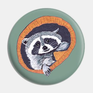 Peekaboo Raccoons Collection #1 Pin