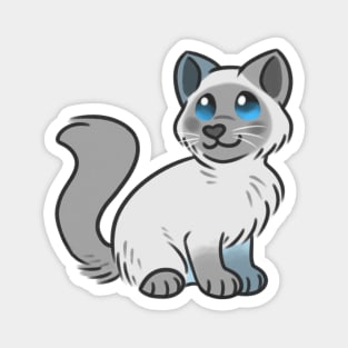 Cute Fluffy Himalayan Cat Magnet