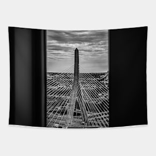 Zakim Bridge, Boston. Tapestry