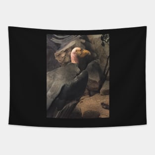 Lone Condor Tapestry