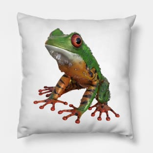 Frog/Red-Eyed Amazon Tree Frog Pillow