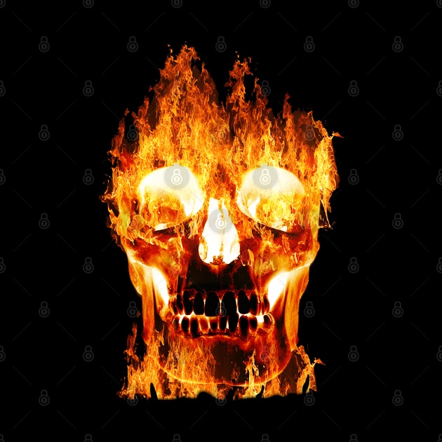 Flaming Skull by By Diane Maclaine