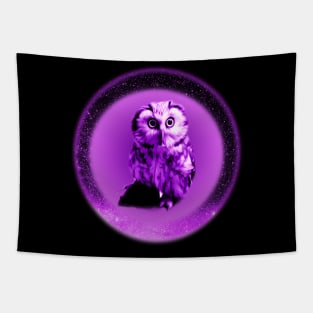 Purple Pygmy Galaxy Space Owl Tapestry