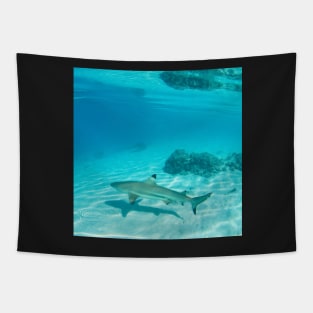 Tahiti Reef Shark & Coral Tapestry